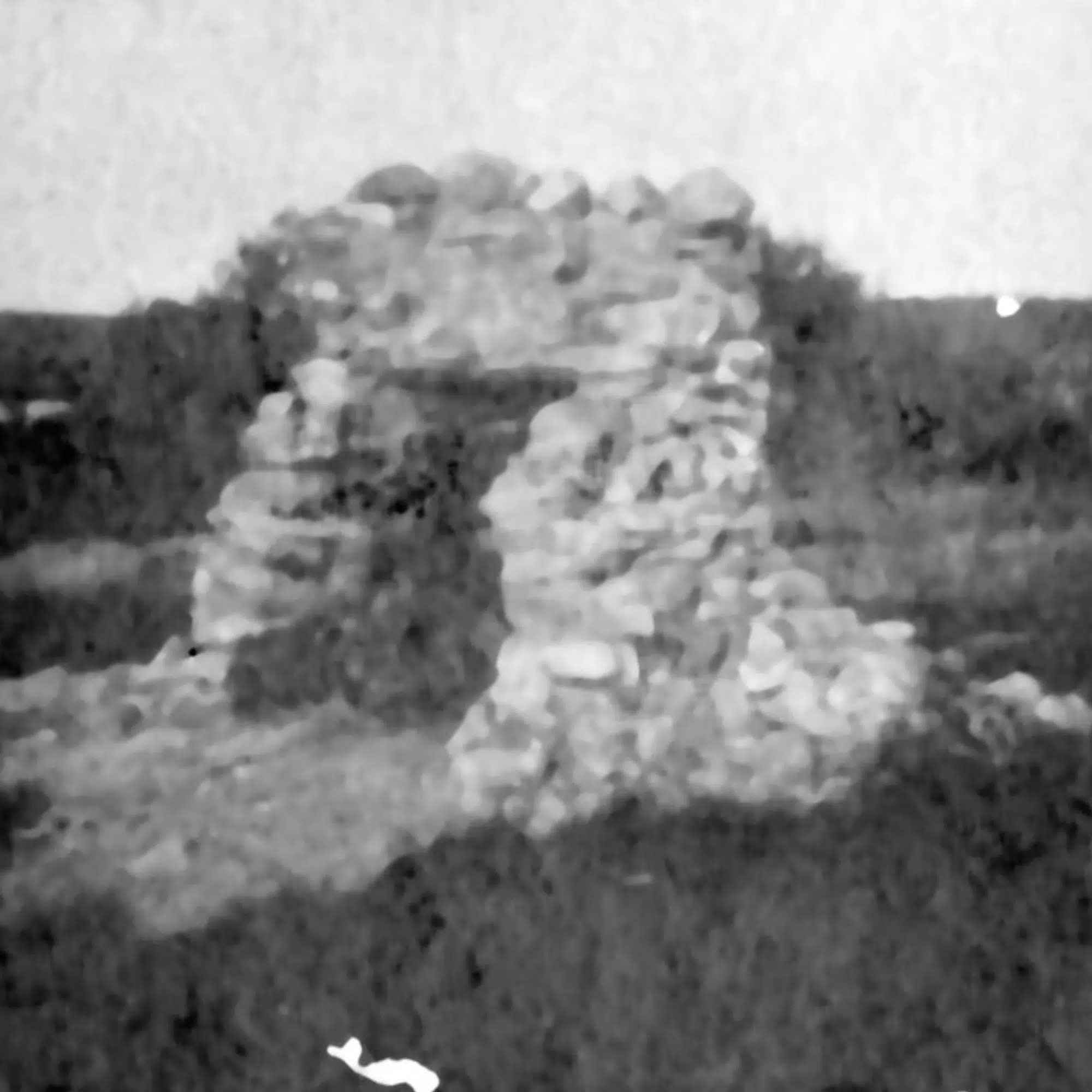 "The Old Chimney" at Les Cheneaux Club. The chimney was from the home of Chief Shab-wa-way (Chabowaywa) of the Odawa tribe of Anishinaabe indigenous peoples, who signed the 1836 treaty, ceding most of northern Michigan. Ca. 1910-19.